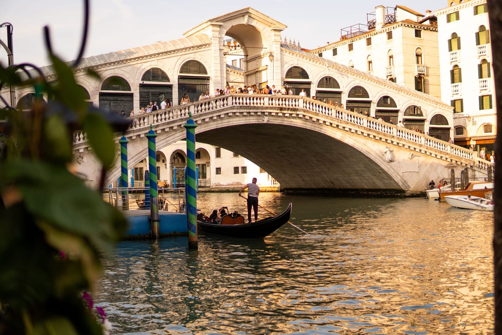 The Rialto Bridge arching over the Grand Canal, gondolas beneath