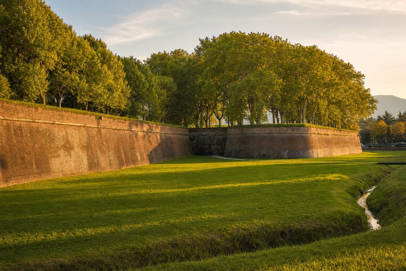 Plane trees riding the Renaissance walls of Lucca