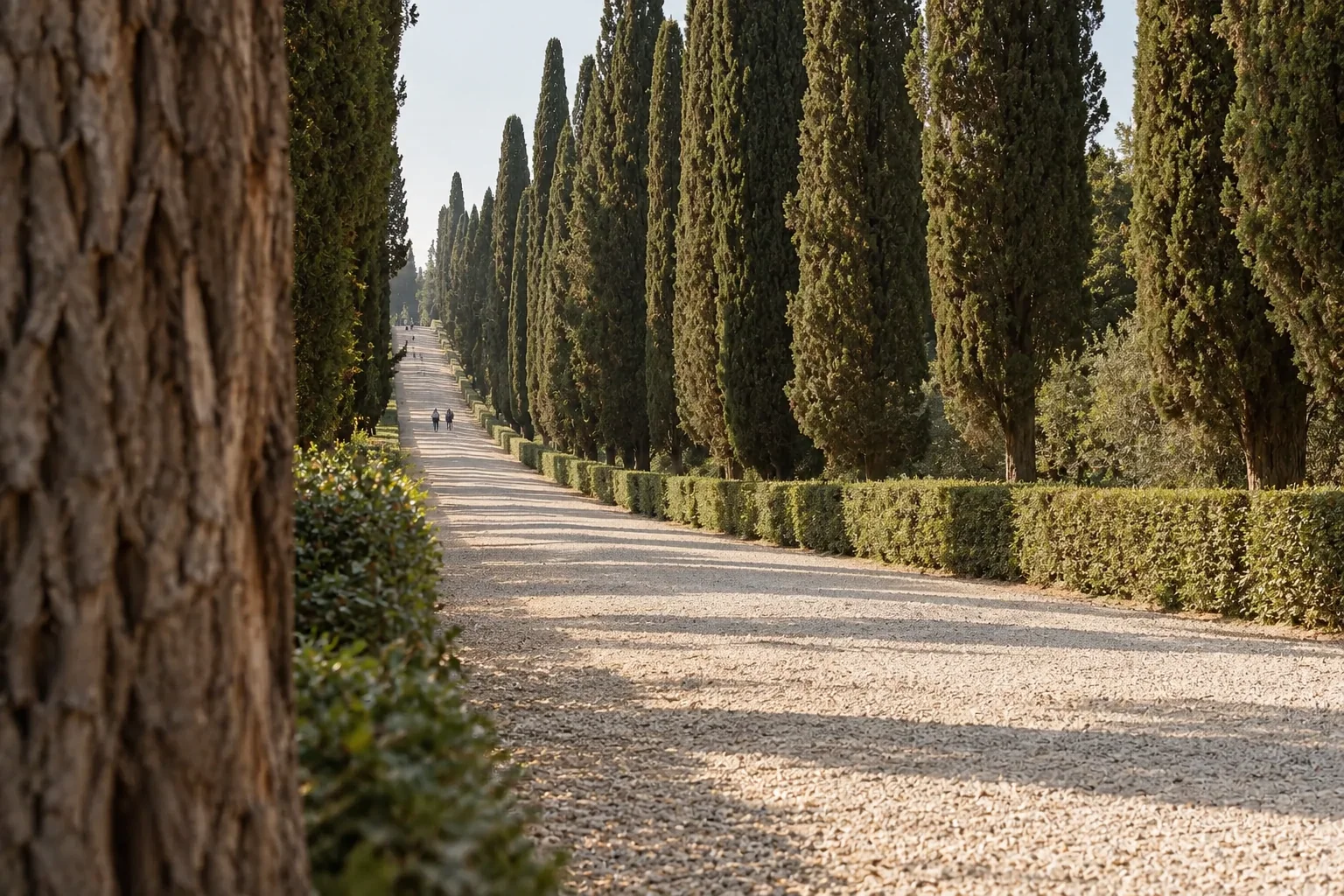 The Viottolone, a straight gravel avenue between tall cypresses