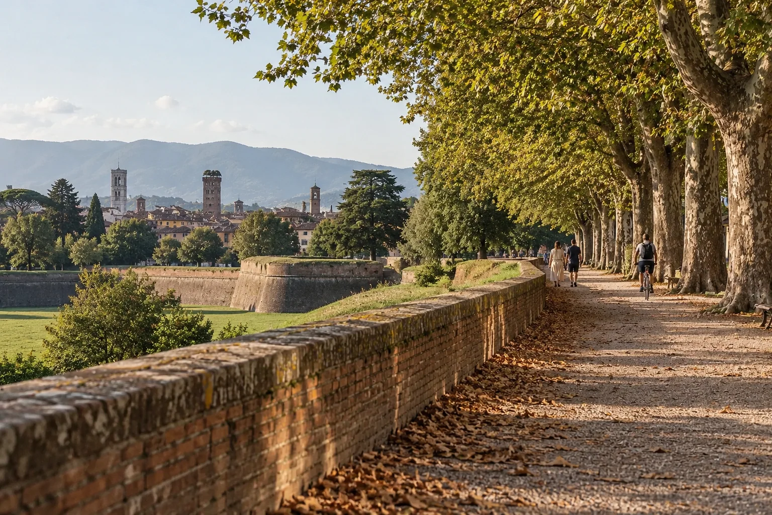 The plane-tree-lined promenade on top of the walls of Lucca at sunset