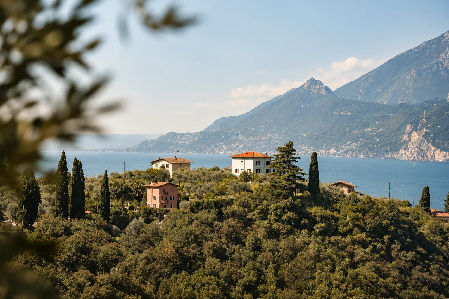 Cypress and rooftops above Lake Garda at Malcesine