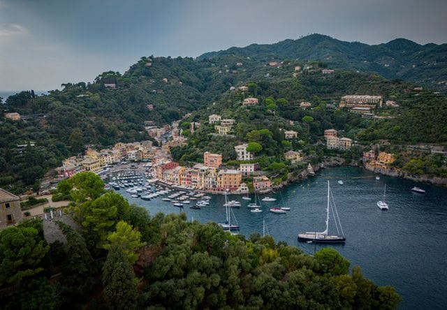Portofino's harbor through the pines, Liguria