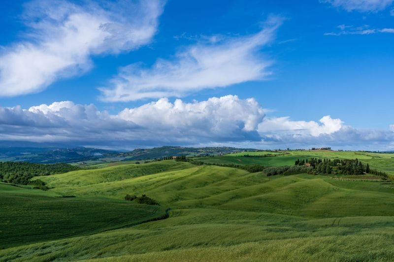 Green waves of the Crete Senesi, Tuscany